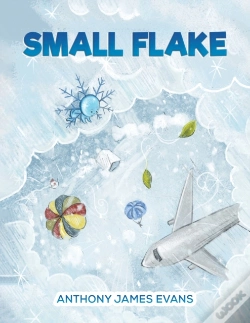 Capa do artigo Small Flake