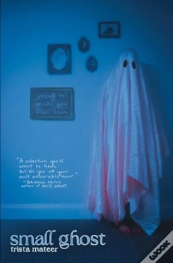 Capa do artigo Small Ghost