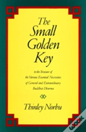 Capa do artigo Small Golden Key
