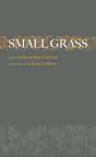 Small Grass - Preview
