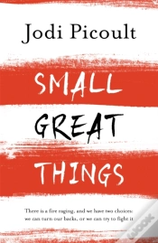Capa do artigo Small Great Things