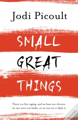 Capa do artigo Small Great Things