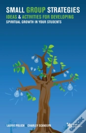 Capa do artigo Small Group Strategies