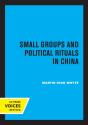 Small Groups And Political Rituals In China - Preview