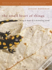 Capa do artigo Small Heart Of Things