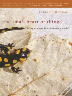 Capa do artigo Small Heart Of Things