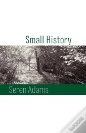 Small History