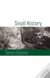 Capa do artigo Small History