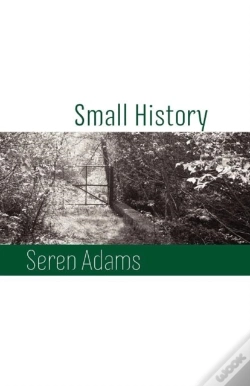 Capa do artigo Small History