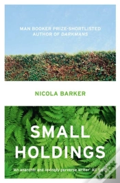 Capa do artigo Small Holdings