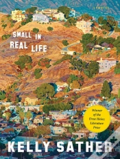 Capa do artigo Small In Real Life
