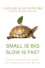 Small Is Big, Slow Is Fast - Preview