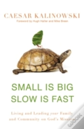 Capa do artigo Small Is Big, Slow Is Fast