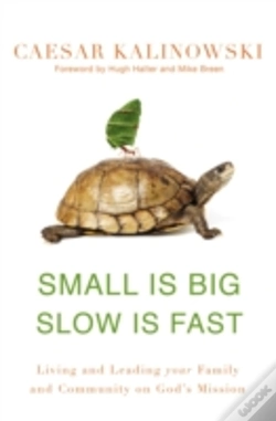 Capa do artigo Small Is Big, Slow Is Fast
