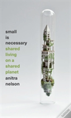 Capa do artigo Small Is Necessary