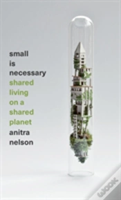 Capa do artigo Small Is Necessary