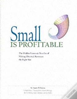 Capa do artigo Small Is Profitable