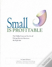Capa do artigo Small Is Profitable