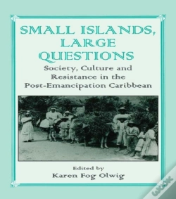 Capa do artigo Small Islands, Large Questions