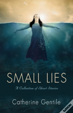 Capa do artigo Small Lies