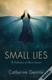 Capa do artigo Small Lies