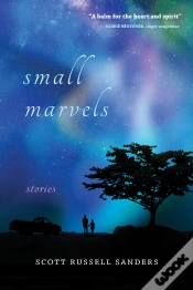 Capa do artigo Small Marvels