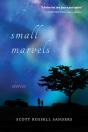 Small Marvels - Preview