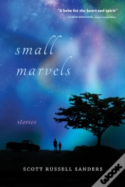 Capa do artigo Small Marvels