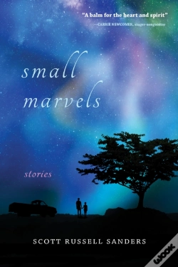 Capa do artigo Small Marvels