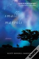 Small Marvels
