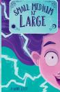 Small Medium At Large - Preview