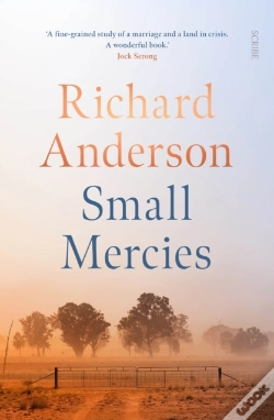 Capa do artigo Small Mercies