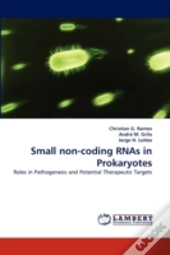 Small Non-Coding Rnas In Prokaryotes