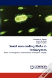Capa do artigo Small Non-Coding Rnas In Prokaryotes