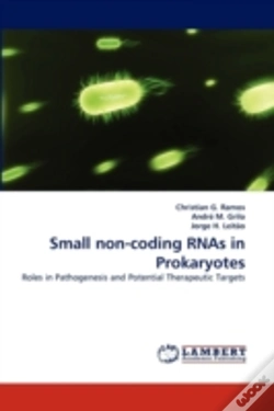 Capa do artigo Small Non-Coding Rnas In Prokaryotes