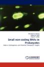 Small Non-Coding Rnas In Prokaryotes - Preview