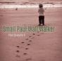 Small Paul Wall Walker - Preview
