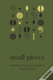 Capa do artigo Small Pieces