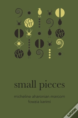 Capa do artigo Small Pieces