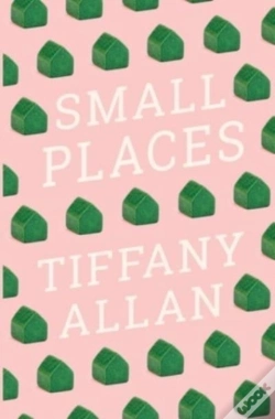 Capa do artigo Small Places
