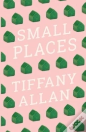 Capa do artigo Small Places