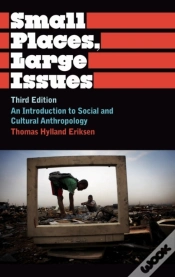 Capa do artigo Small Places, Large Issues