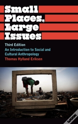 Capa do artigo Small Places, Large Issues