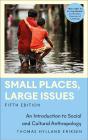 Small Places, Large Issues - Preview