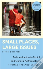 Capa do artigo Small Places, Large Issues