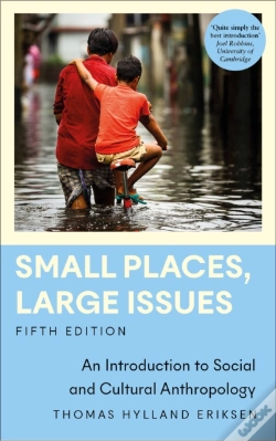 Capa do artigo Small Places, Large Issues
