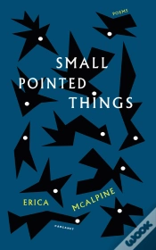 Capa do artigo Small Pointed Things