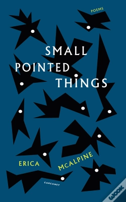Capa do artigo Small Pointed Things