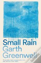 Small Rain