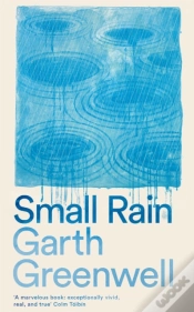 Capa do artigo Small Rain